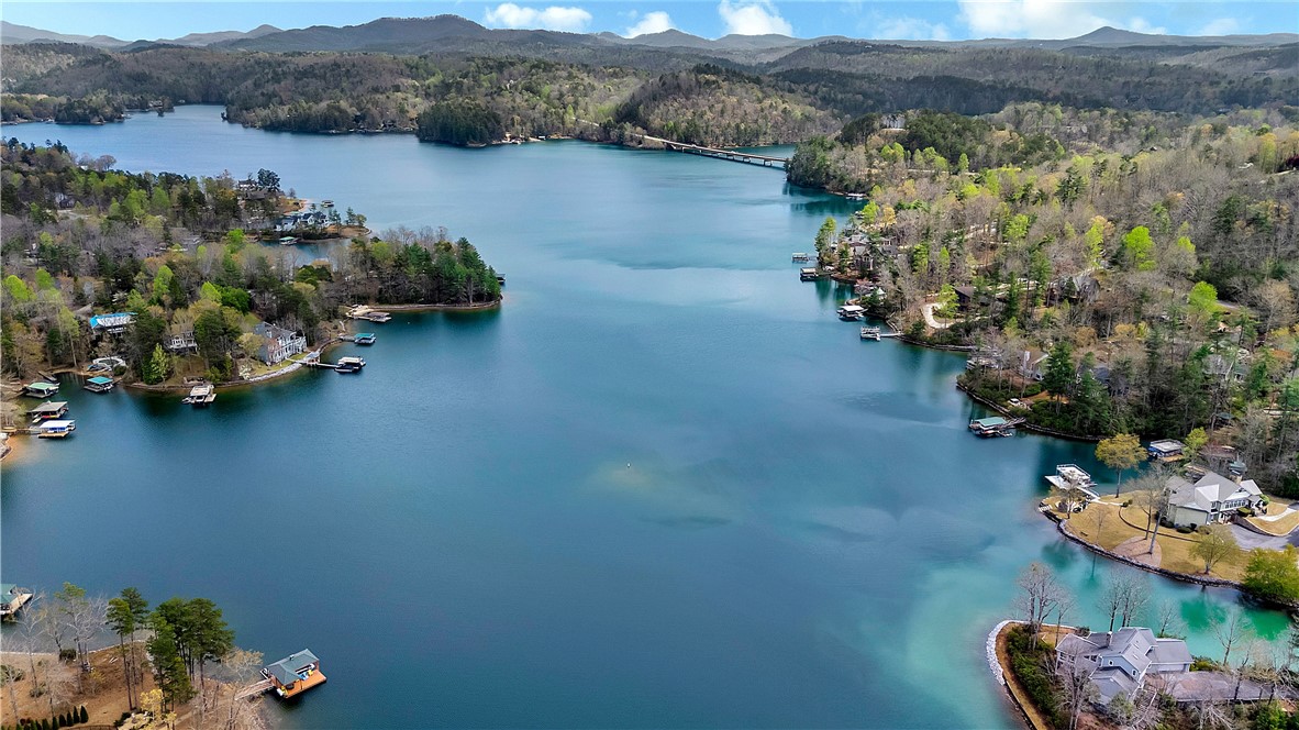 37 Bay Ridge Drive Salem, SC 29676 - Photo 8 of 11