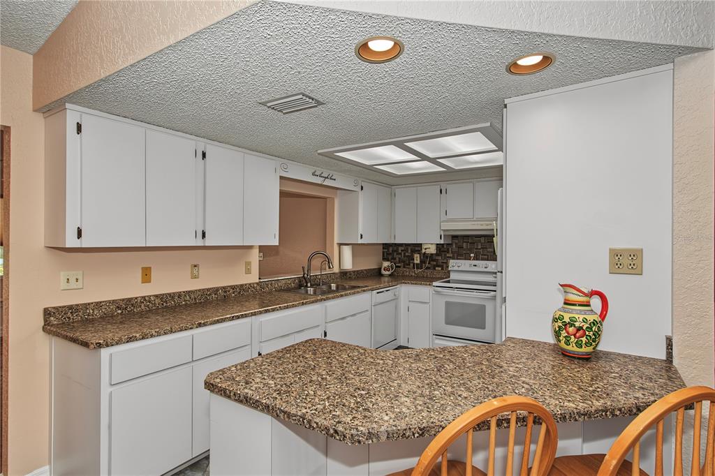 8777 Southwest 116th Place Road Ocala, FL 34481 - Photo 10 of 44 Gallery Image 10