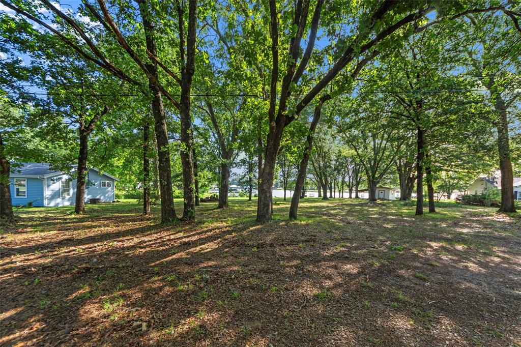 1805 Beavers Point Bonham, TX 75418 - Photo 5 of 39