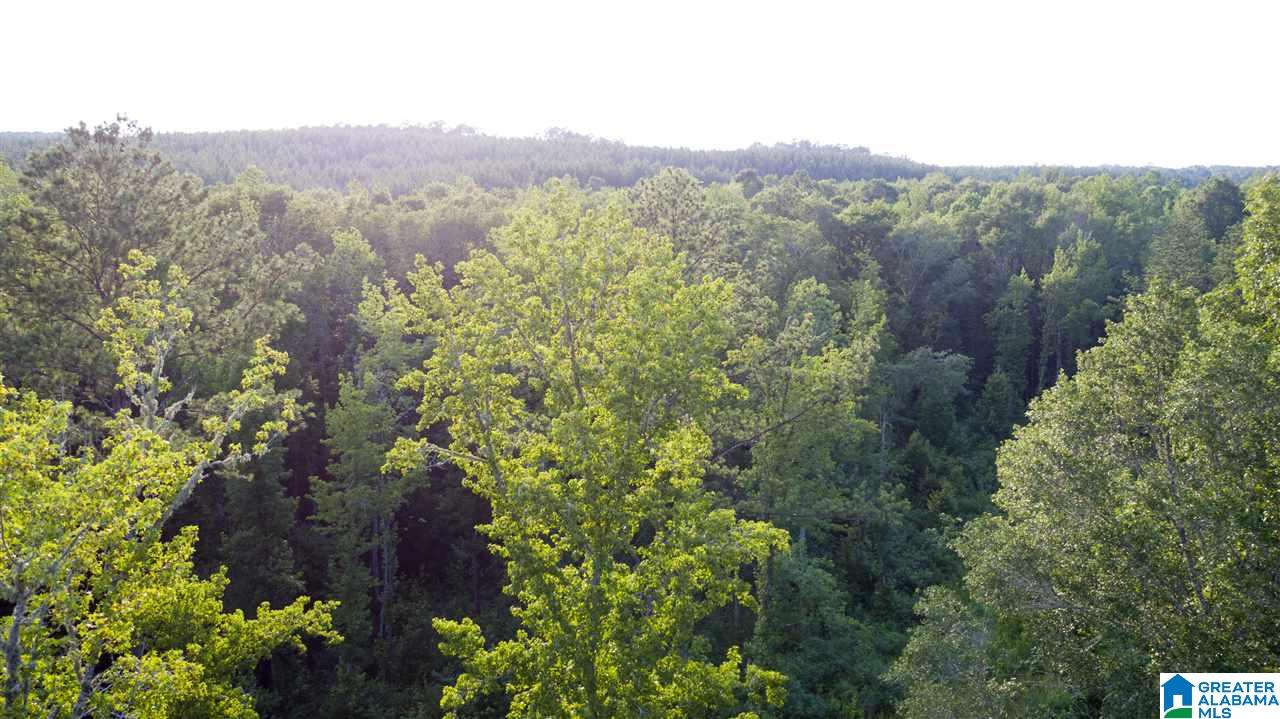 180 Gibson Road, Unit 76 / ACRES OFF GIBSON R Columbiana, AL 35051 - Photo 14 of 50