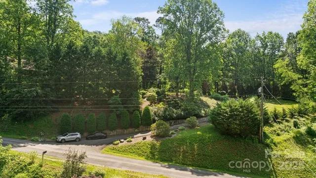 a view of a park with large trees