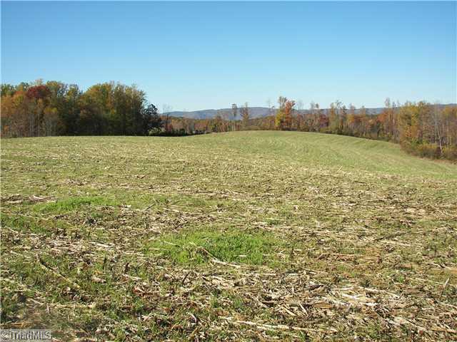 Xx Childress Road Mount Airy, NC 27030 - Photo 1 of 5 Land.