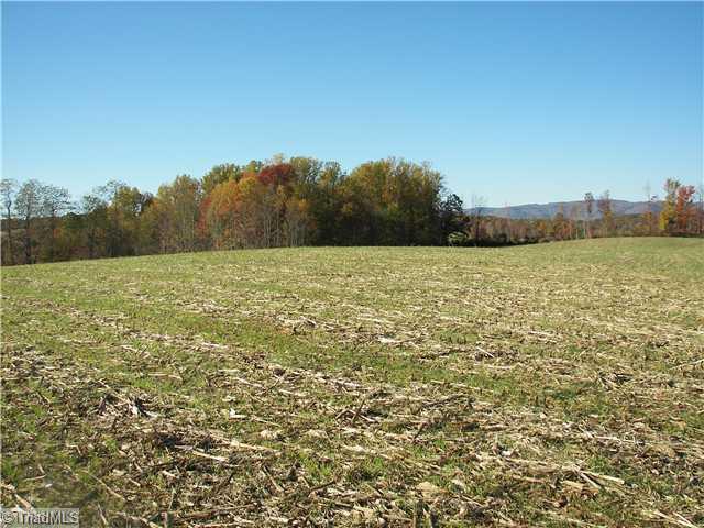 Xx Childress Road Mount Airy, NC 27030 - Photo 2 of 5 Land.