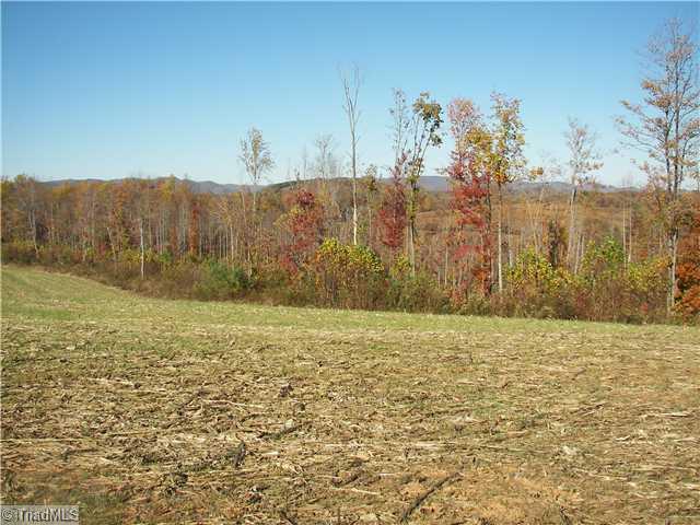 Xx Childress Road Mount Airy, NC 27030 - Photo 3 of 5 Land.