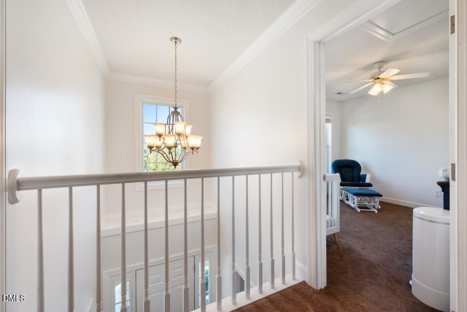 66 Snowden Lane Cameron, NC 28326 - Photo 23 of 55 dsc_6883