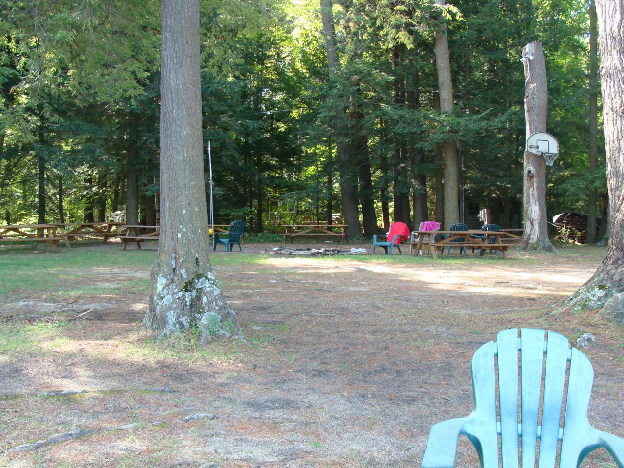 4 Grove Road Stockbridge, MA 01262 - Photo 6 of 16 a view of a tree in front of a house
