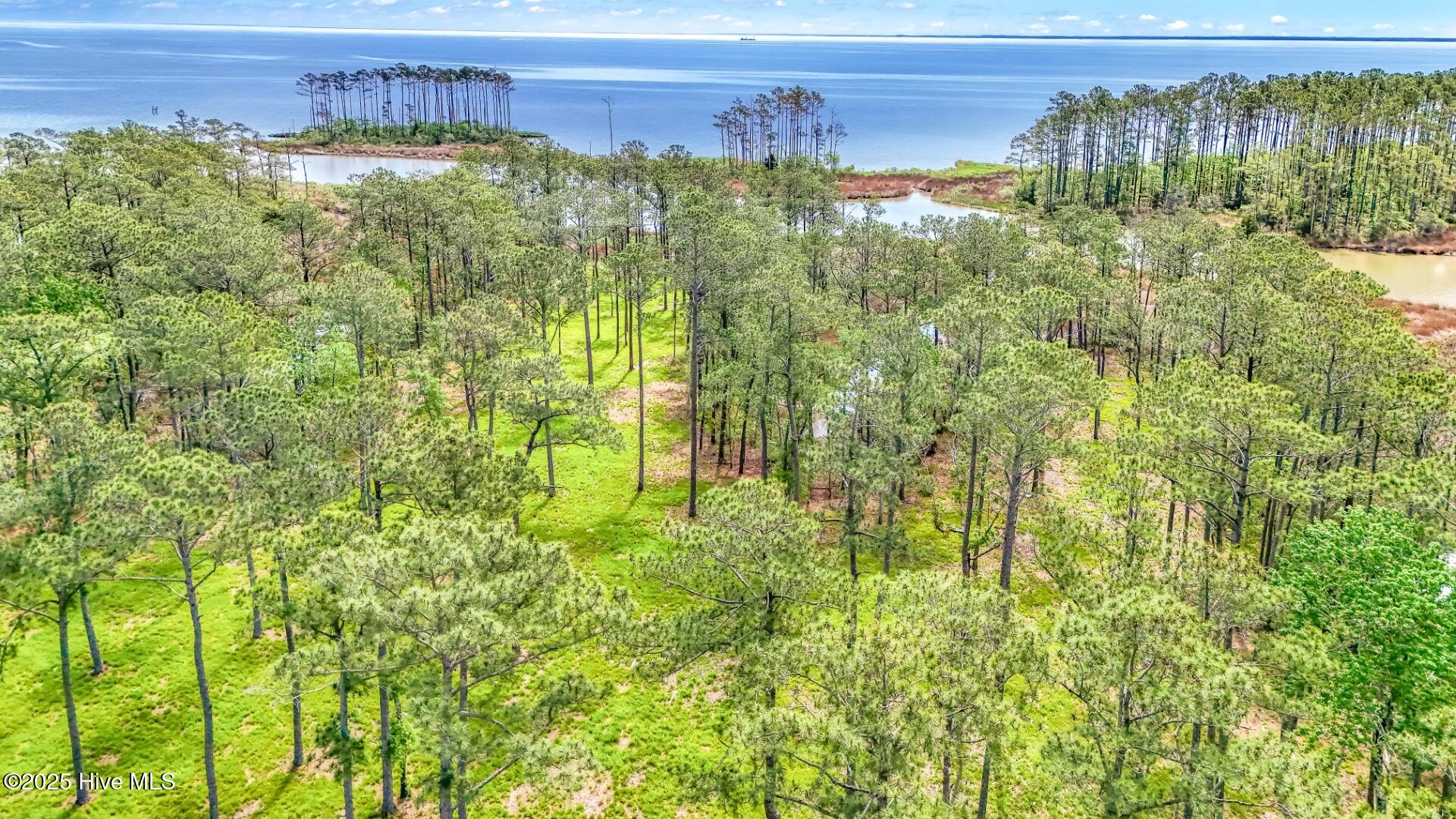 175 River Watch Road Oriental, NC 28571 - Photo 11 of 61 175 River Watch Road (17)