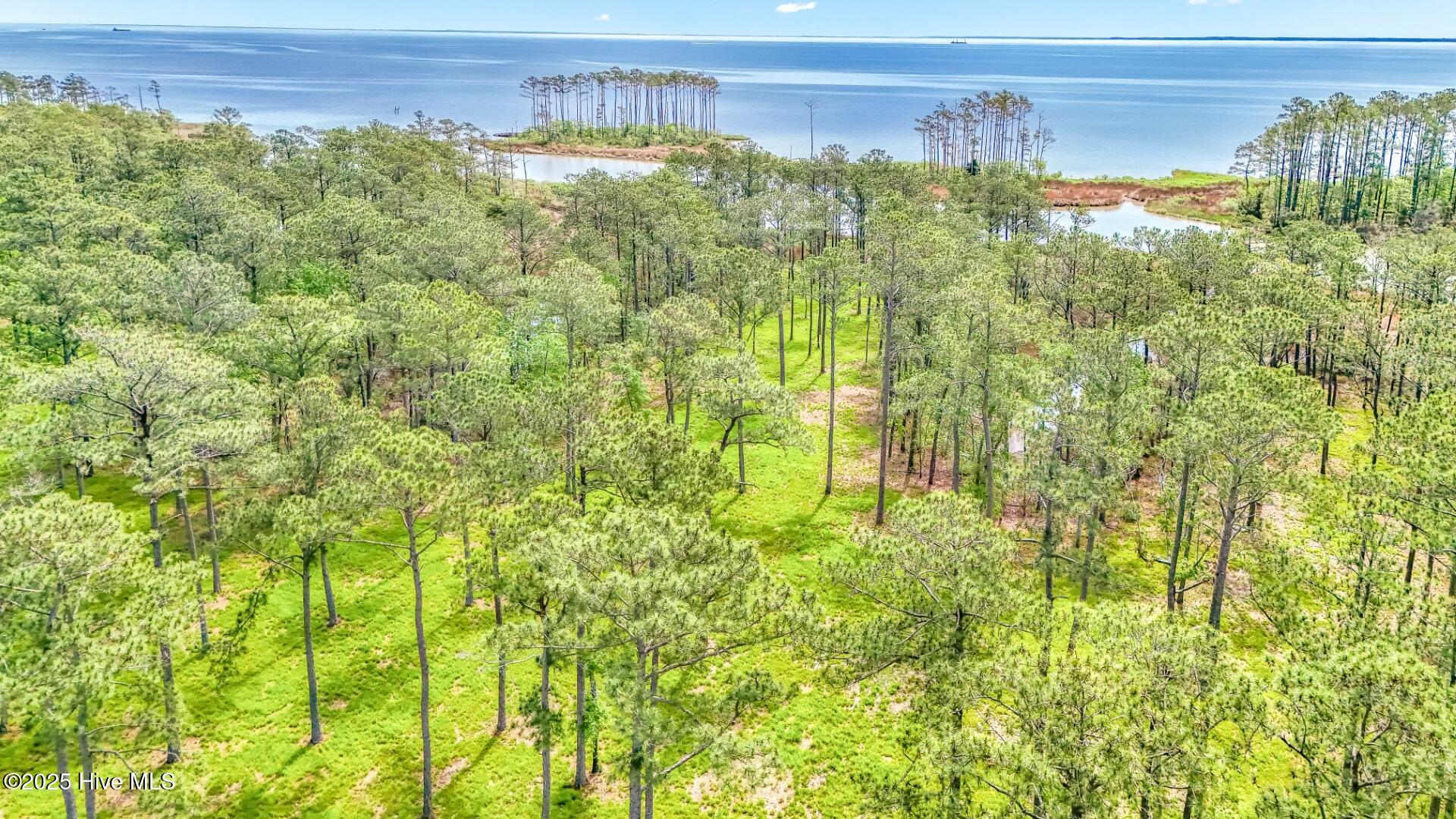 175 River Watch Road Oriental, NC 28571 - Photo 12 of 61 175 River Watch Road (18)