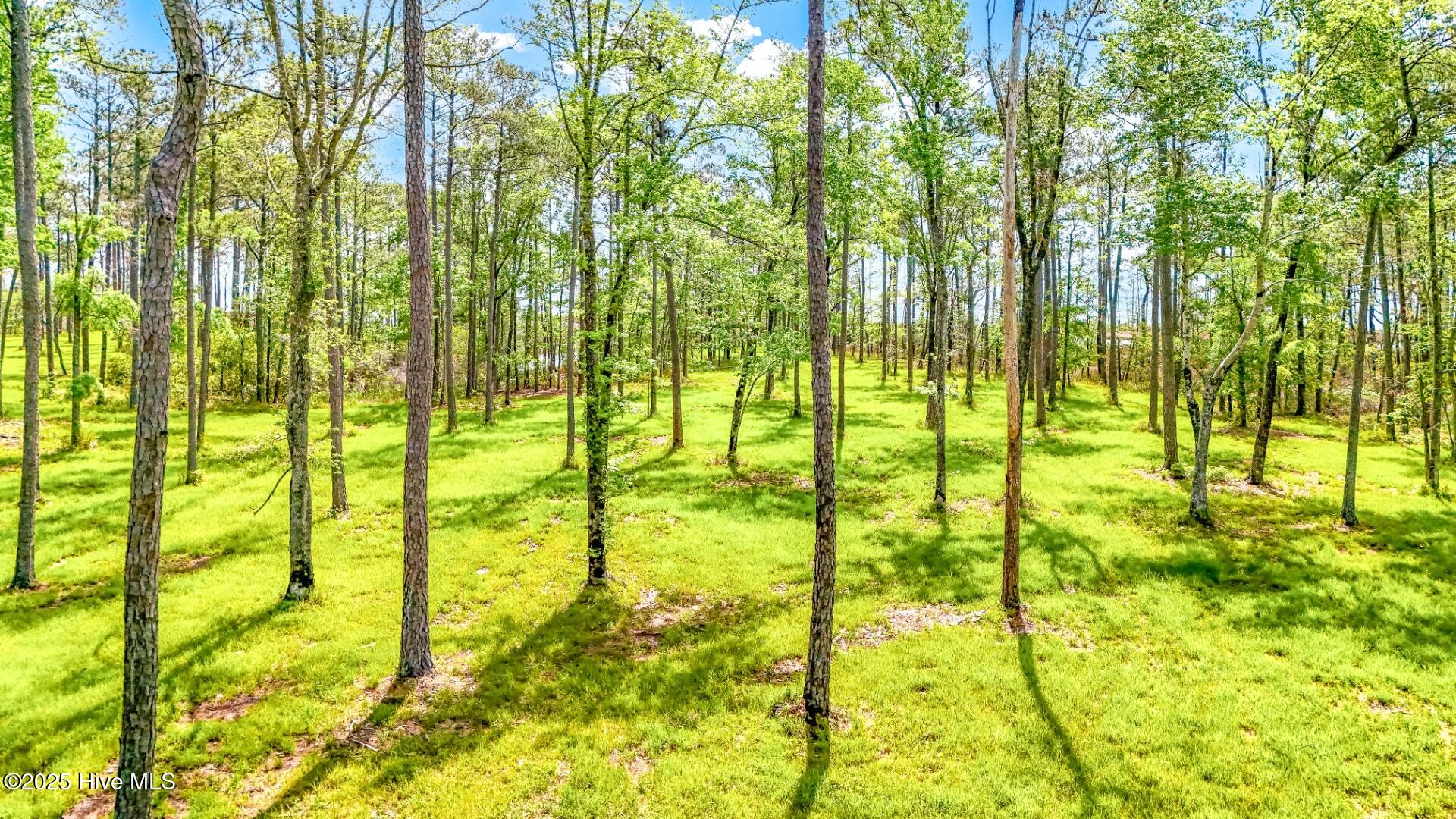 175 River Watch Road Oriental, NC 28571 - Photo 13 of 61 175 River Watch Road (9)