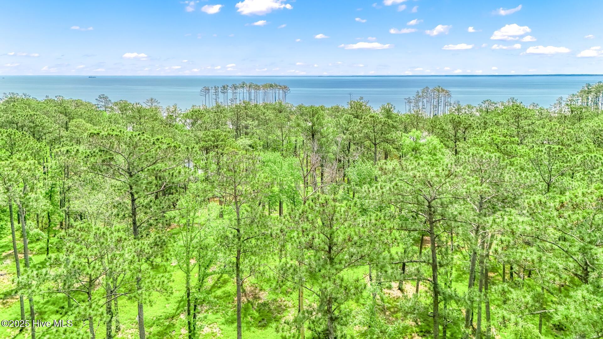 175 River Watch Road Oriental, NC 28571 - Photo 15 of 61 175 River Watch Road (1)