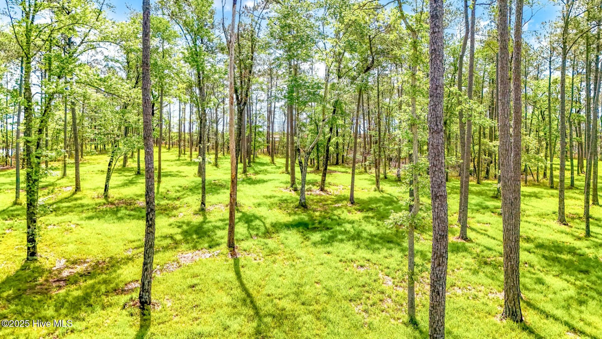 175 River Watch Road Oriental, NC 28571 - Photo 16 of 61 175 River Watch Road (8)