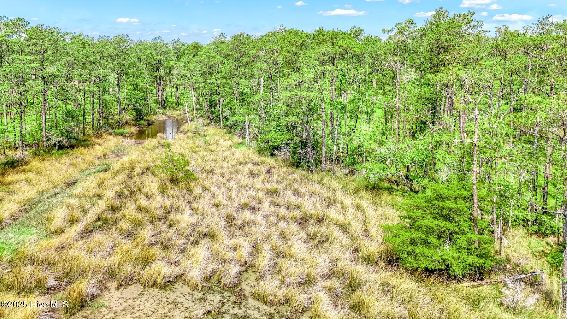 175 River Watch Road Oriental, NC 28571 - Photo 17 of 61 175 River Watch Road (4)