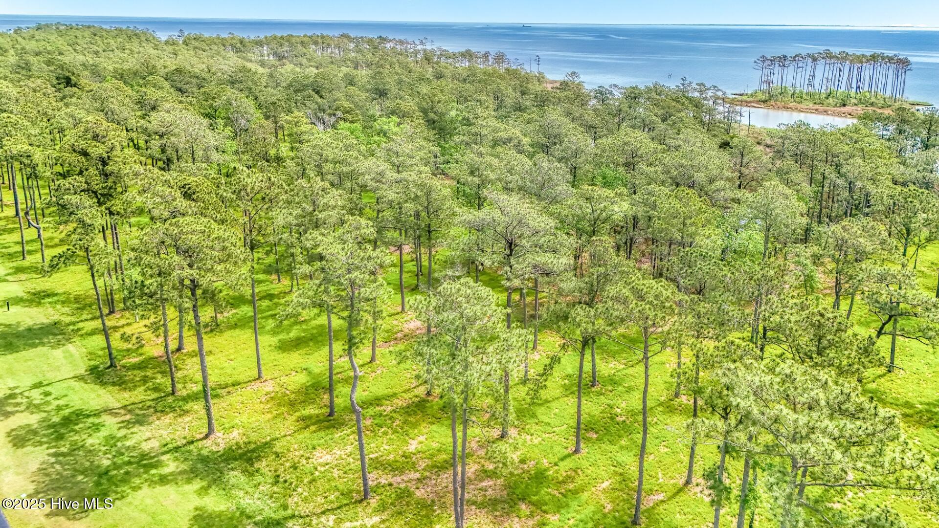 175 River Watch Road Oriental, NC 28571 - Photo 20 of 61 175 River Watch Road (19)