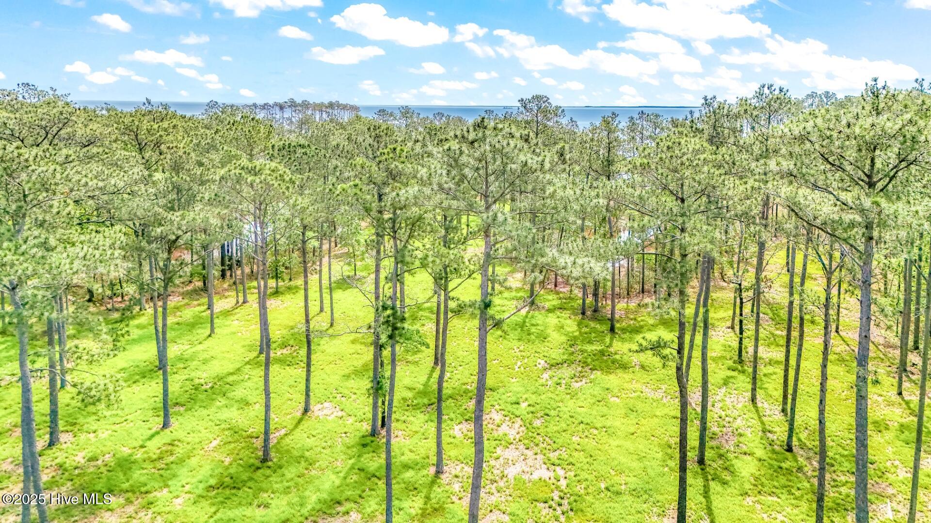 175 River Watch Road Oriental, NC 28571 - Photo 21 of 61 175 River Watch Road (20)