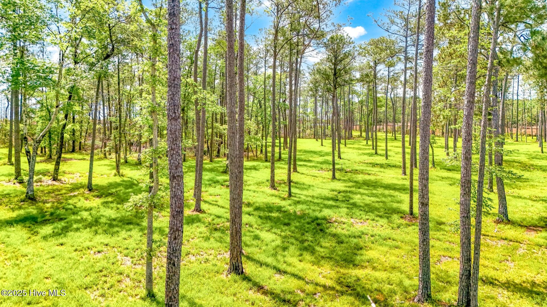 175 River Watch Road Oriental, NC 28571 - Photo 22 of 61 175 River Watch Road