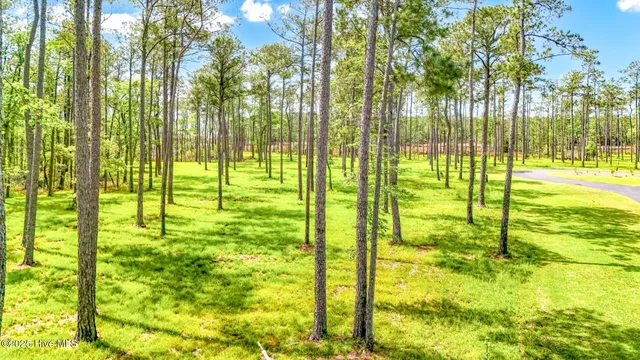 $475,000 | 175 River Watch Road, Oriental, NC 28571