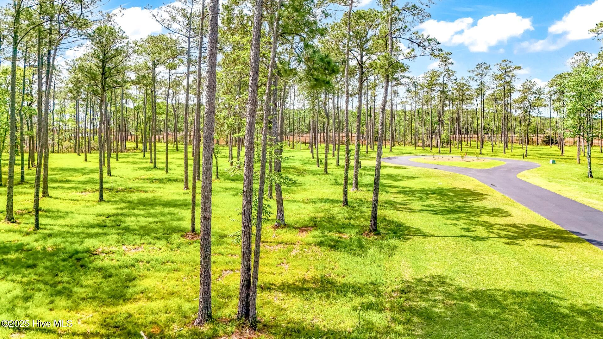 175 River Watch Road Oriental, NC 28571 - Photo 24 of 61 175 River Watch Road