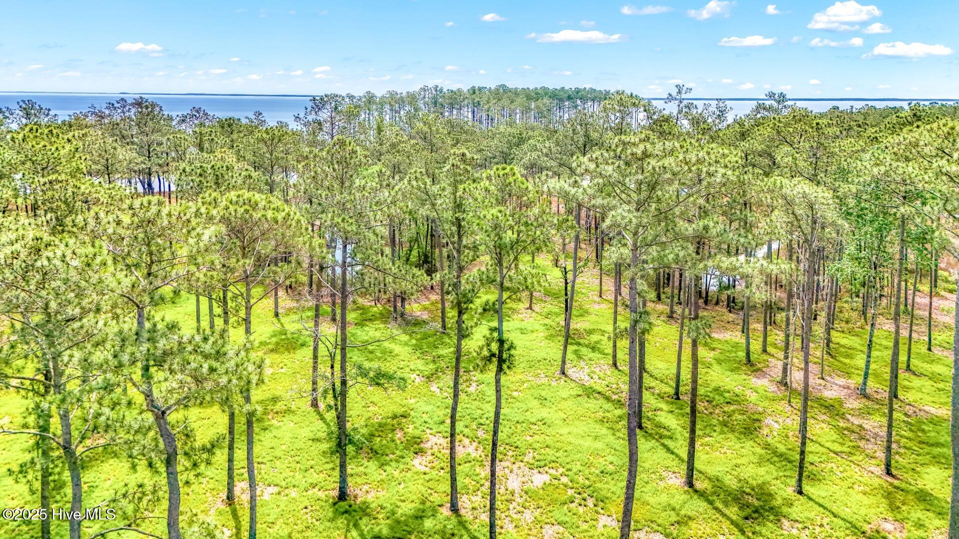 175 River Watch Road Oriental, NC 28571 - Photo 4 of 61 175 River Watch Road (14)