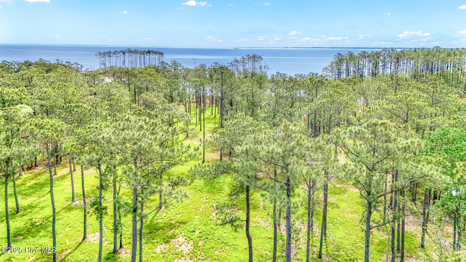 175 River Watch Road Oriental, NC 28571 - Photo 6 of 61 175 River Watch Road (16)