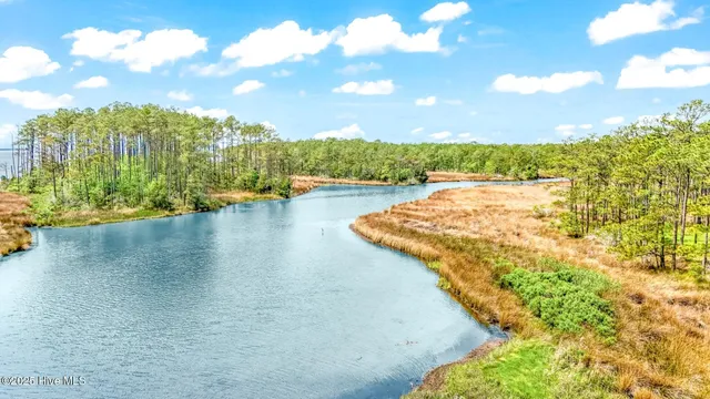 $475,000 | 175 River Watch Road, Oriental, NC 28571