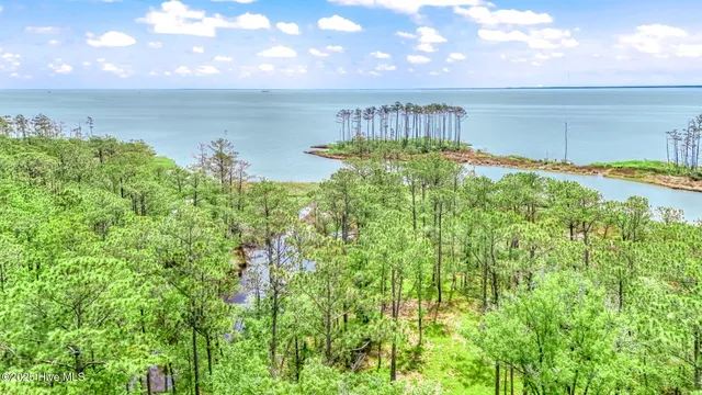 $475,000 | 175 River Watch Road, Oriental, NC 28571