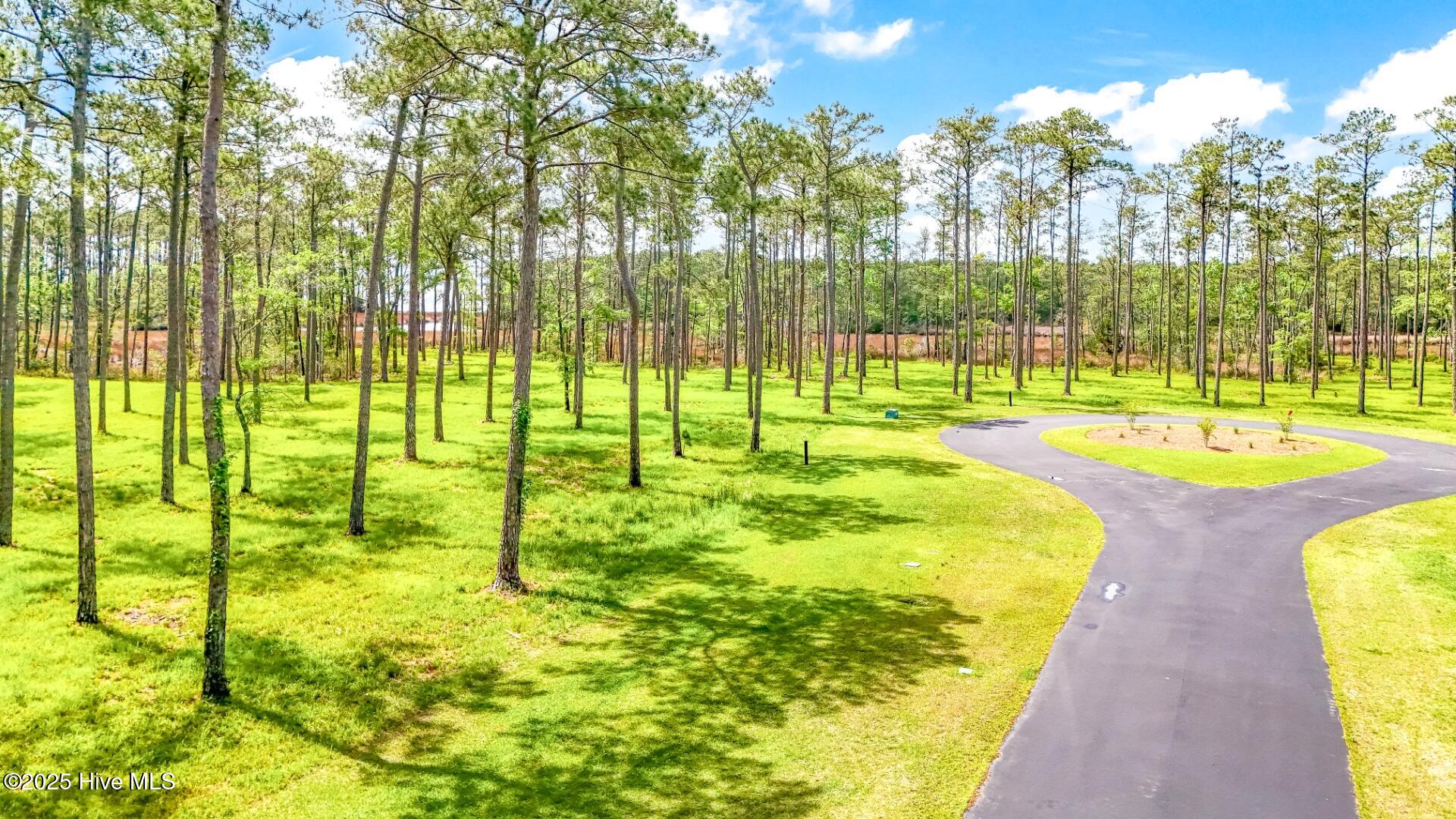 175 River Watch Road Oriental, NC 28571 - Photo 10 of 61 175 River Watch Road