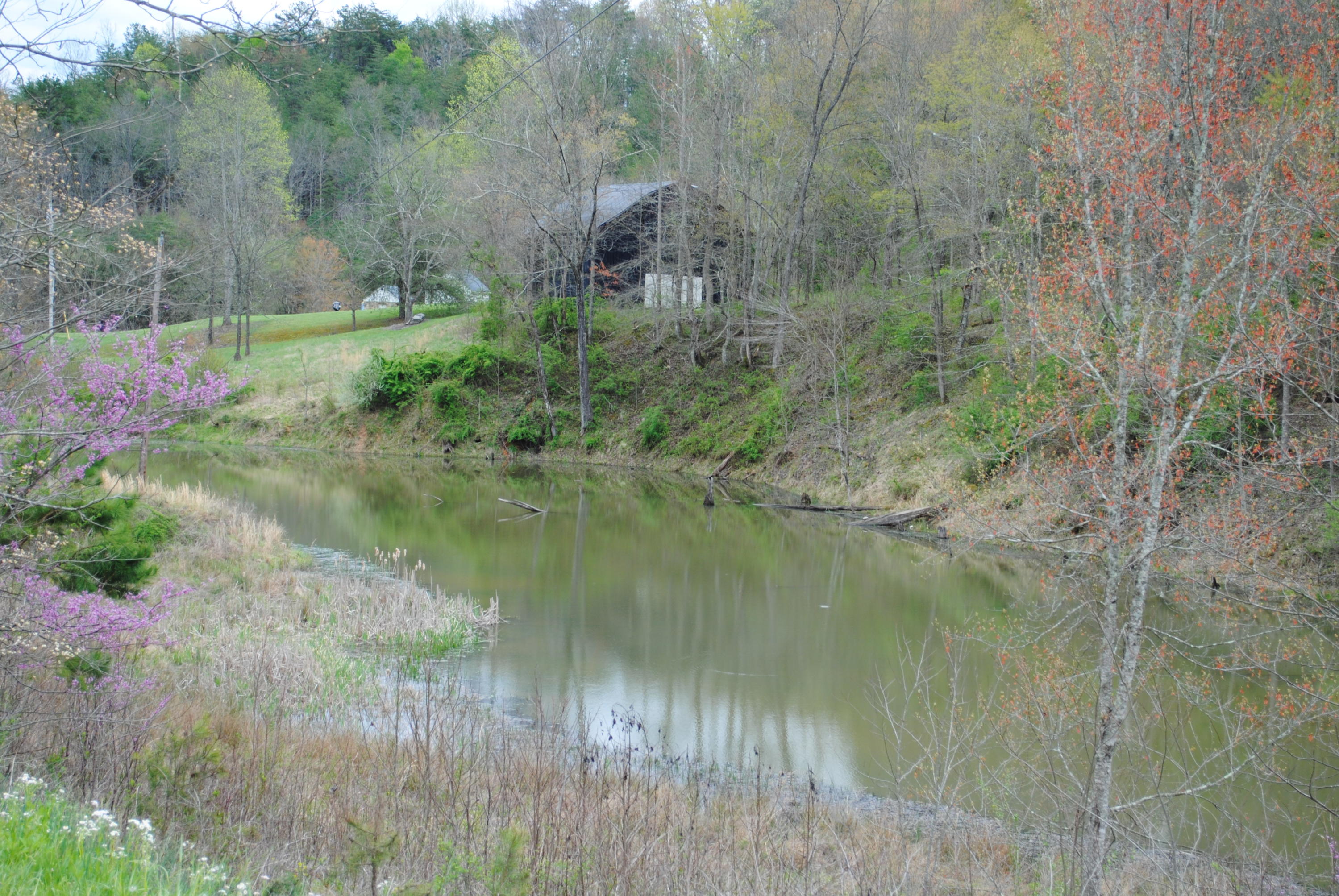 9999 Bowling Branch Road London, KY 40741 - Photo 39 of 49 DSC_0113