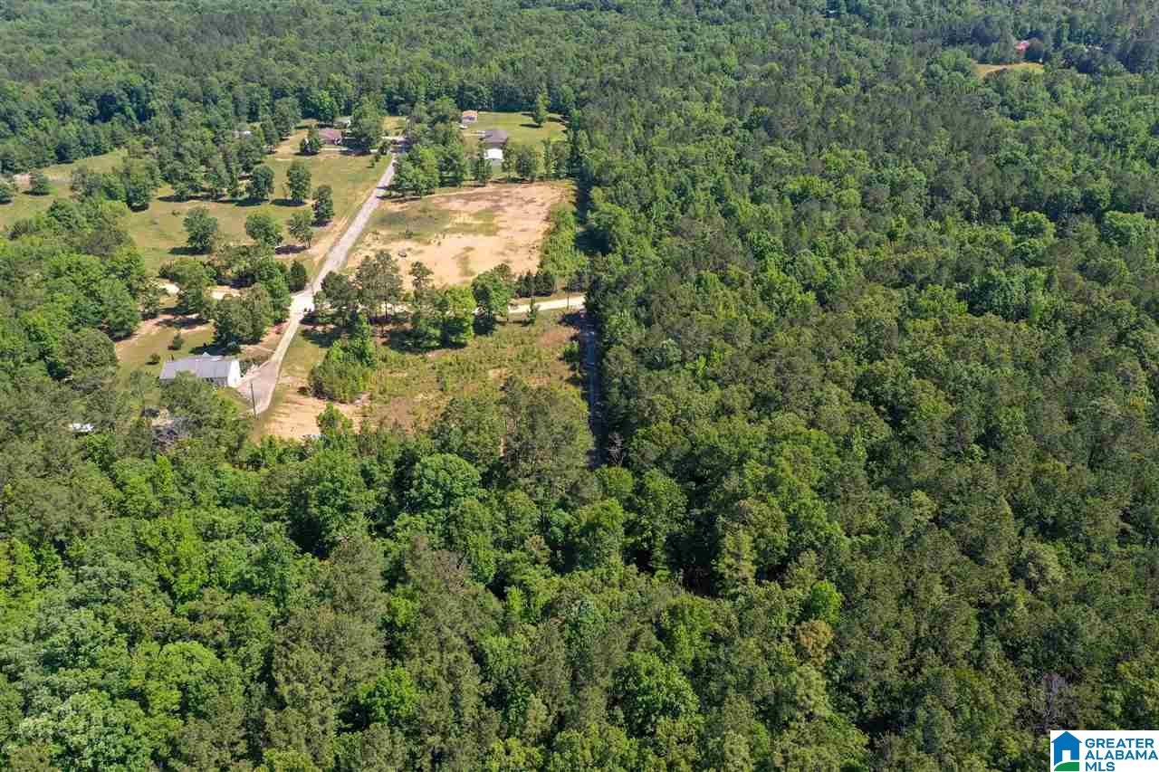 948 Old Deer Creek Road Sterrett, AL 35147 - Photo 13 of 19