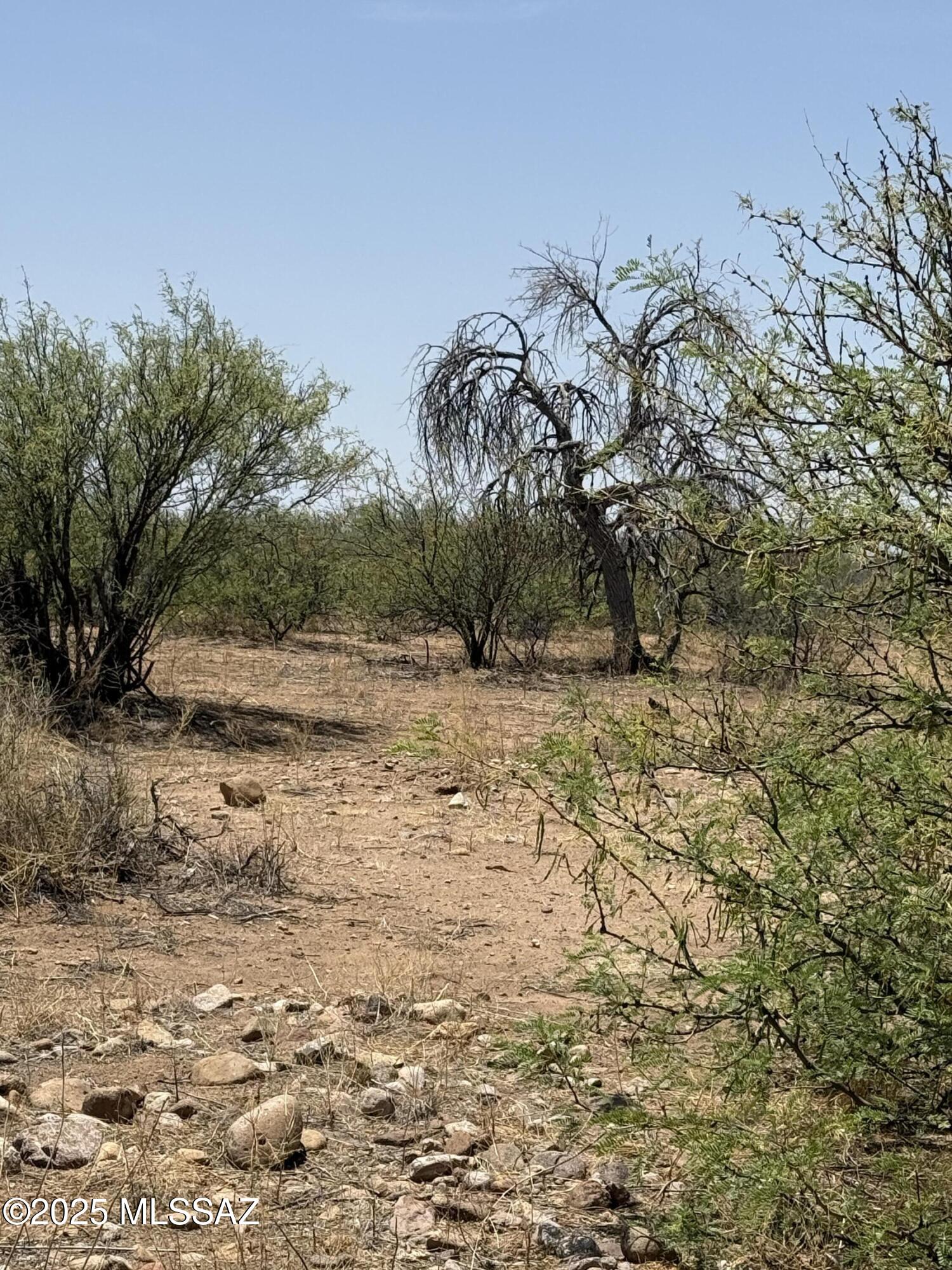 20-ac South Price Ranch Road Pearce, AZ 85625 - Photo 5 of 34