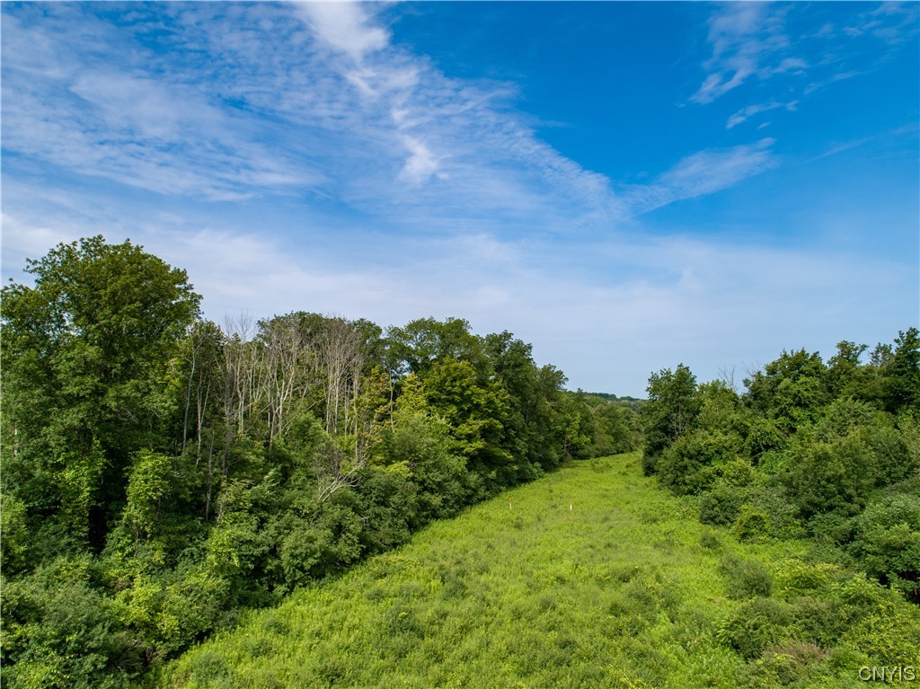Lot #17 County Line Road, Unit 17 Phoenix, NY 13135 - Photo 8 of 14
