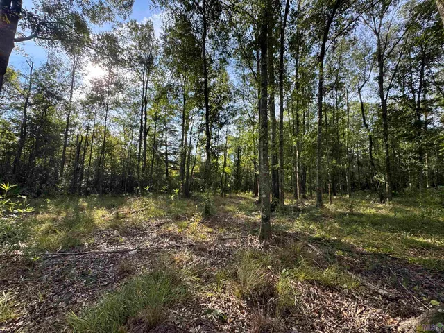 $135,000 | 16 Denham Springs, Denham Springs, LA 70706