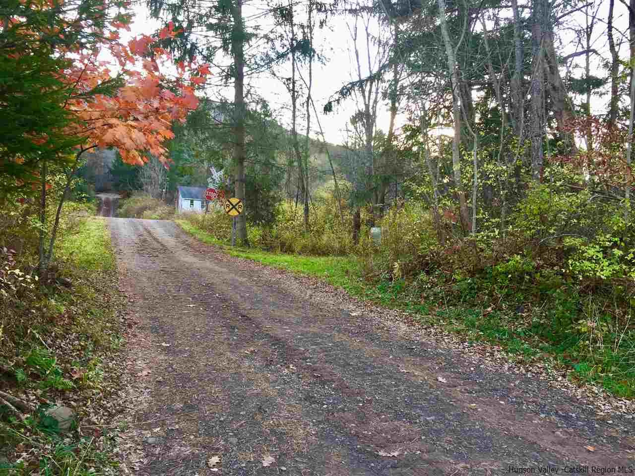 0 Old Route 28 Road Halcottsville, NY 12438 - Photo 4 of 16 Photo 4