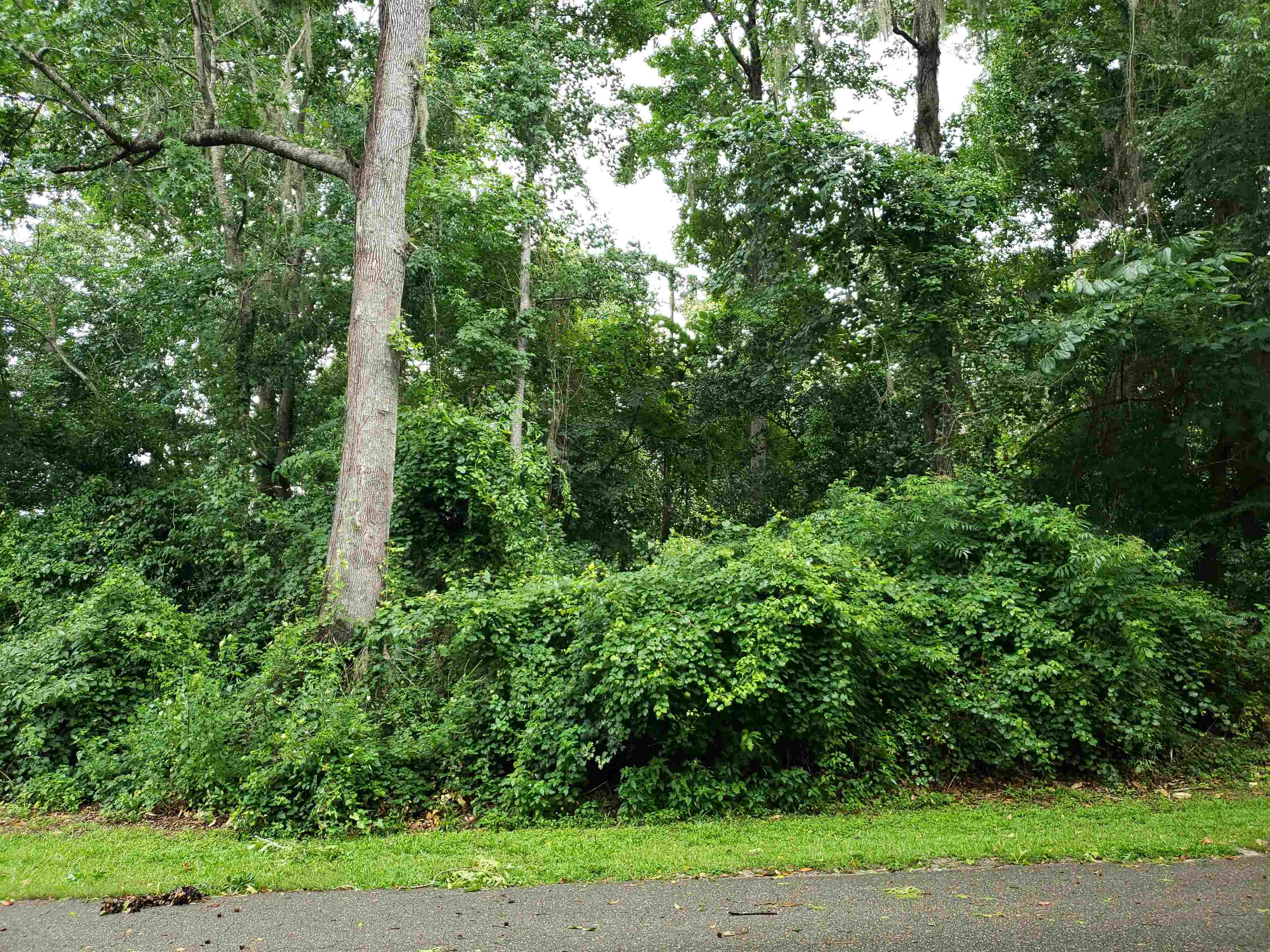 3344 Charleston Road Tallahassee, FL 32309 - Photo 13 of 14