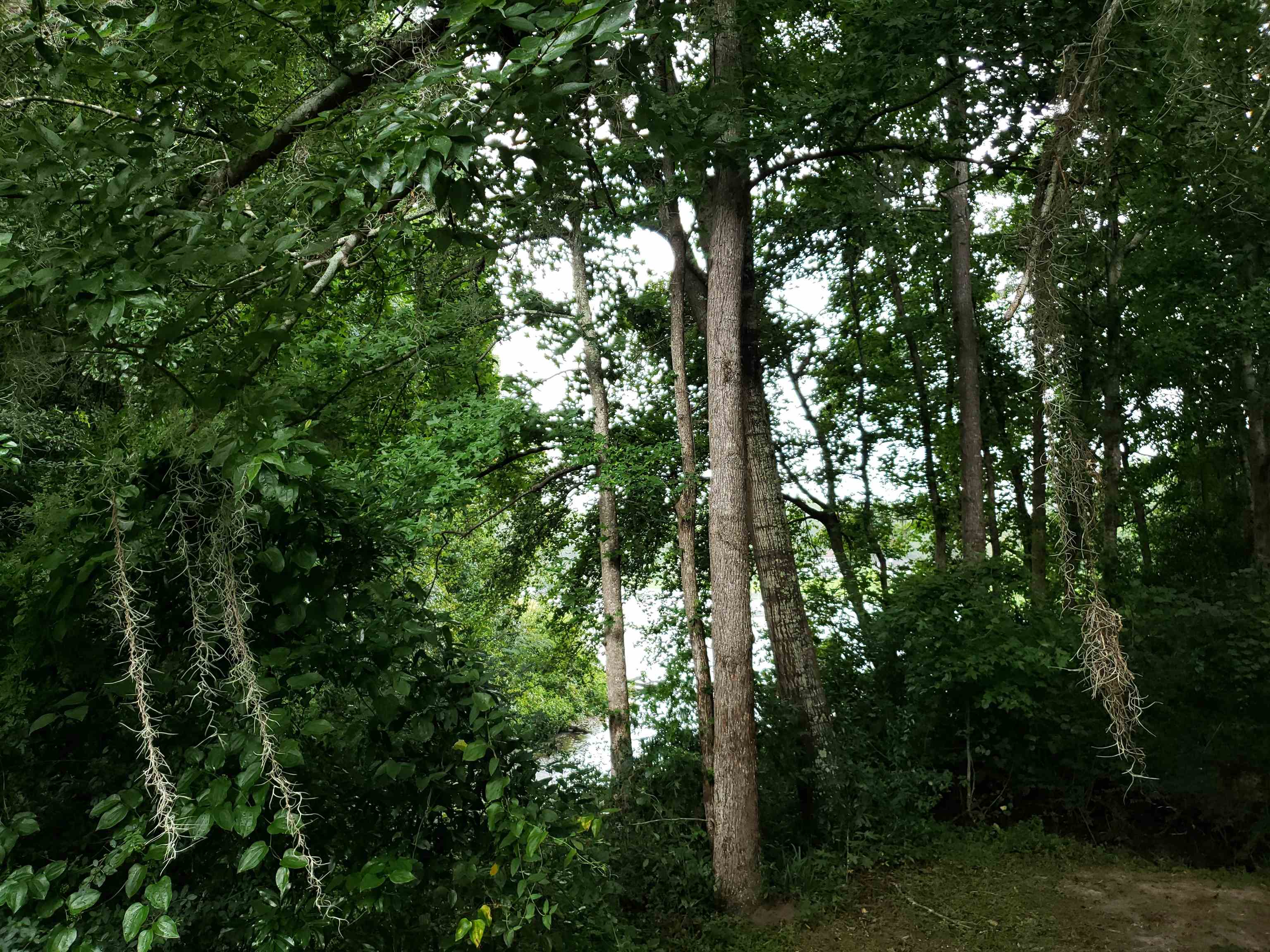 3344 Charleston Road Tallahassee, FL 32309 - Photo 14 of 14