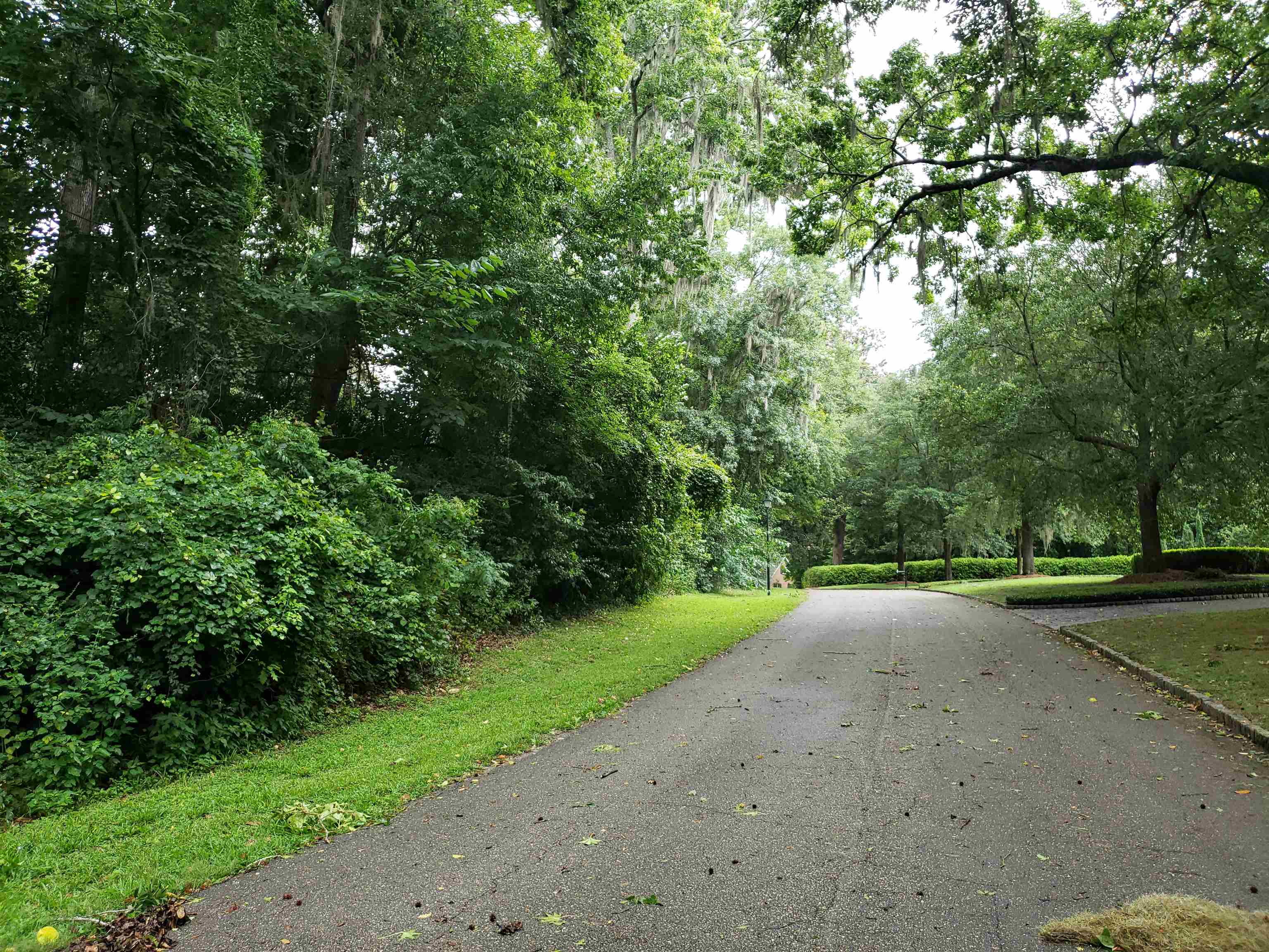 3344 Charleston Road Tallahassee, FL 32309 - Photo 4 of 14