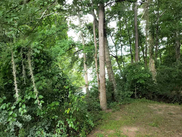 $199,900 | 3344 Charleston Road, Tallahassee, FL 32309