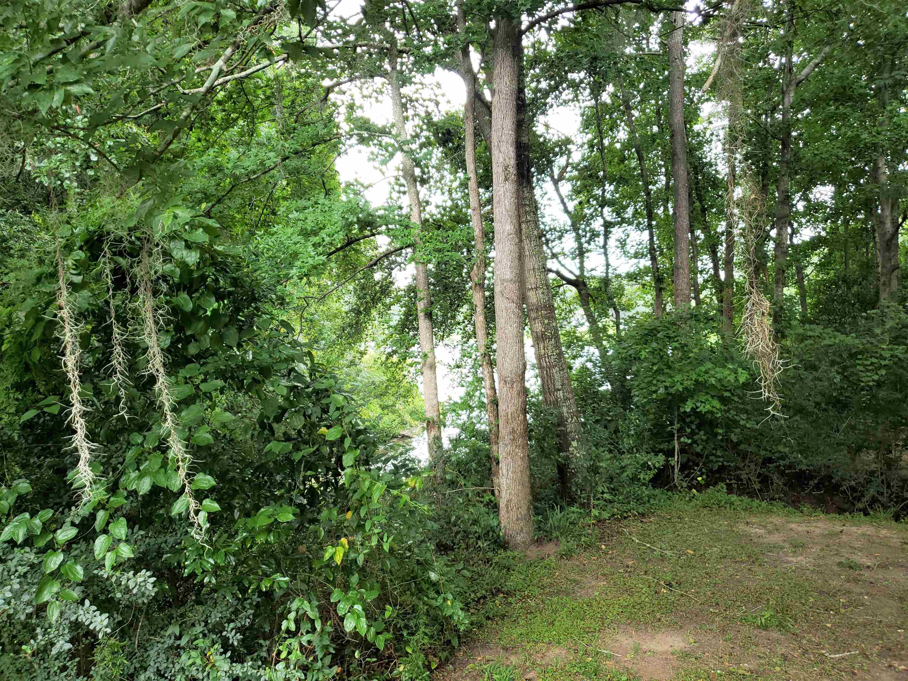 3344 Charleston Road Tallahassee, FL 32309 - Photo 9 of 14