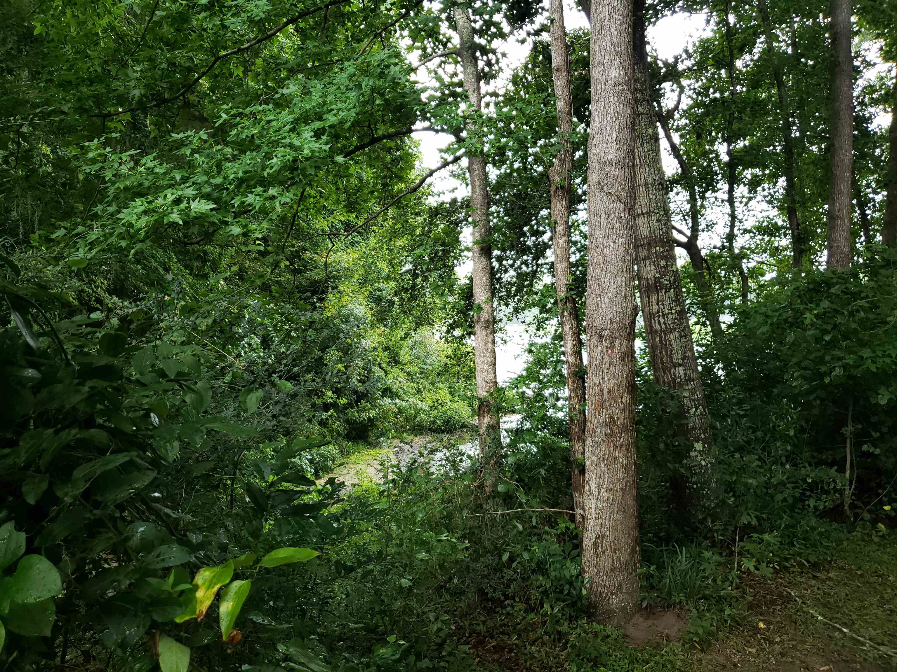 3344 Charleston Road Tallahassee, FL 32309 - Photo 10 of 14