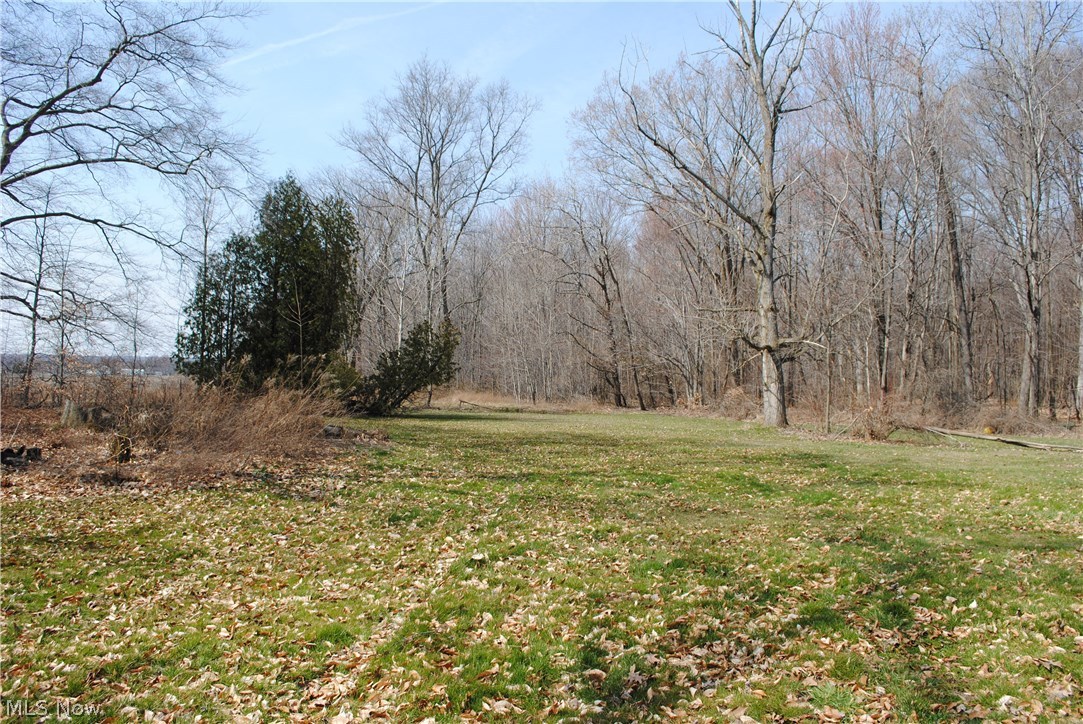 6405 Phillips Rice Road Cortland, OH 44410 - Photo 20 of 24 Gallery Image 20