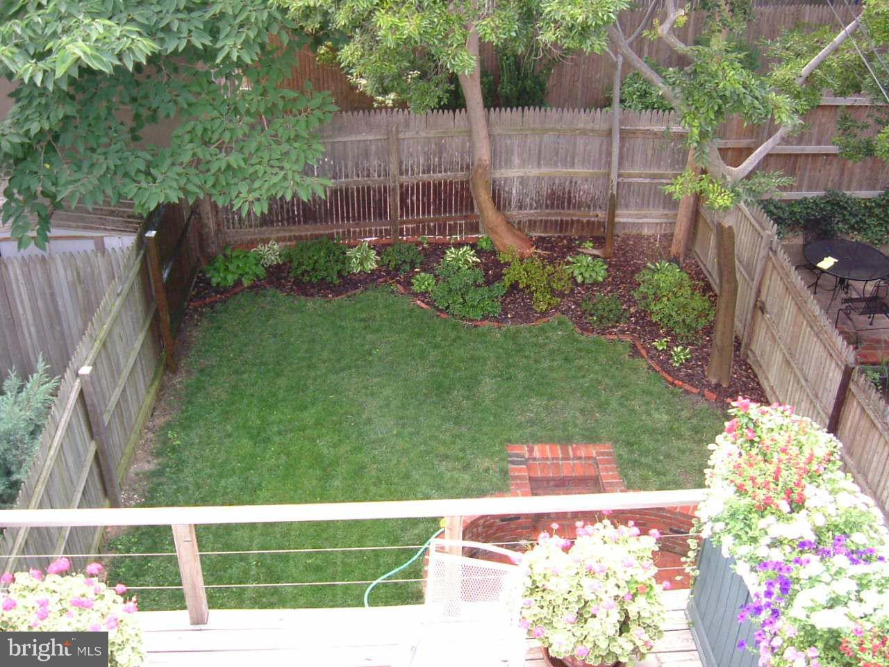 423 4th Street Southeast Washington, DC 20003 - Photo 4 of 6 Interior (General)