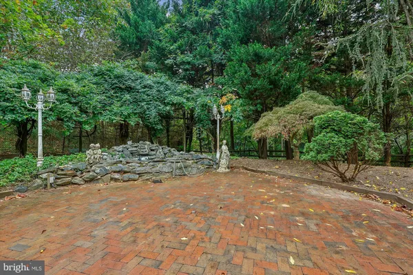 a view of a yard with plants and trees