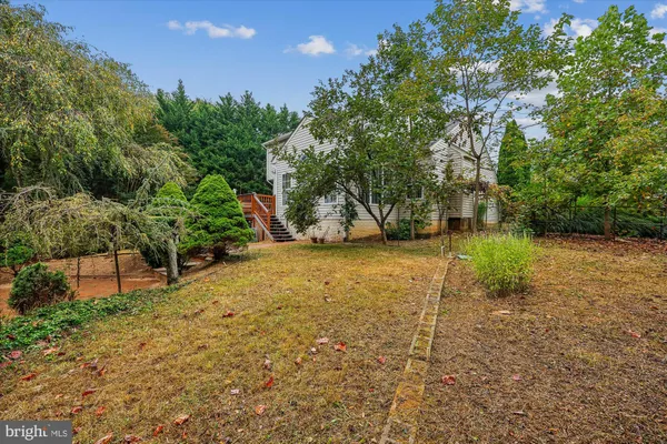 a view of a yard with plants and trees