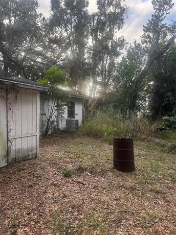 a outdoor space with a tree