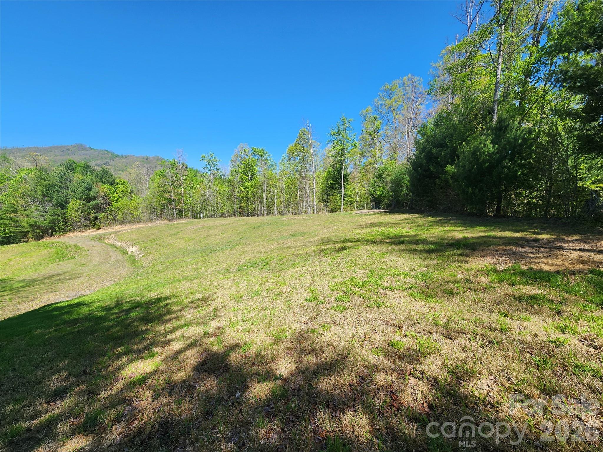 889 Firefly Trail Marshall, NC 28753 - Photo 4 of 35 a view of a field with an trees