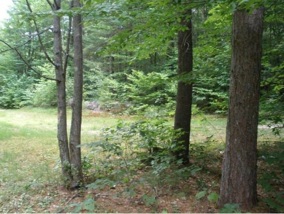 299 Ossipee Mountain Road Ossipee, NH 03814 - Photo 3 of 3 Gallery Image 3