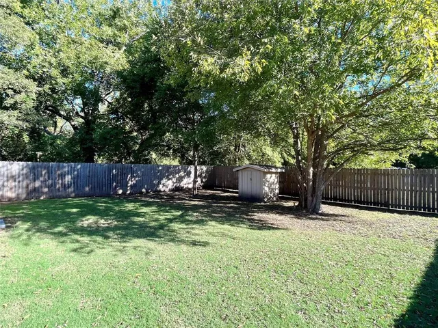 a view of a backyard with plants and trees