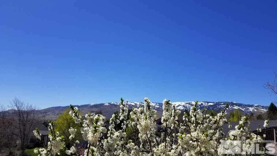 1620 Catherine Way Reno, NV 89523 - Photo 14 of 17 a view of a field
