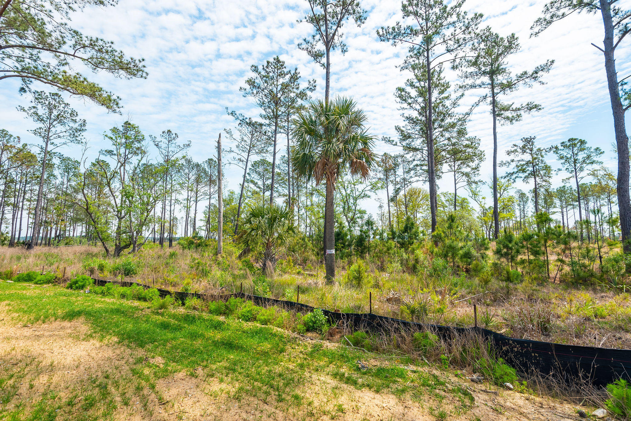 589 Compass Road Charleston, SC 29492 - Photo 8 of 18 589OldCompassRoad-KeenEyeMarketing-8
