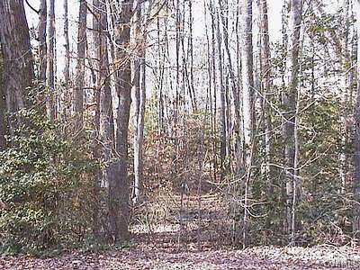 13114 Tower Road Doswell, VA 23047 - Photo 1 of 1 Exterior Front - Property Photo-1