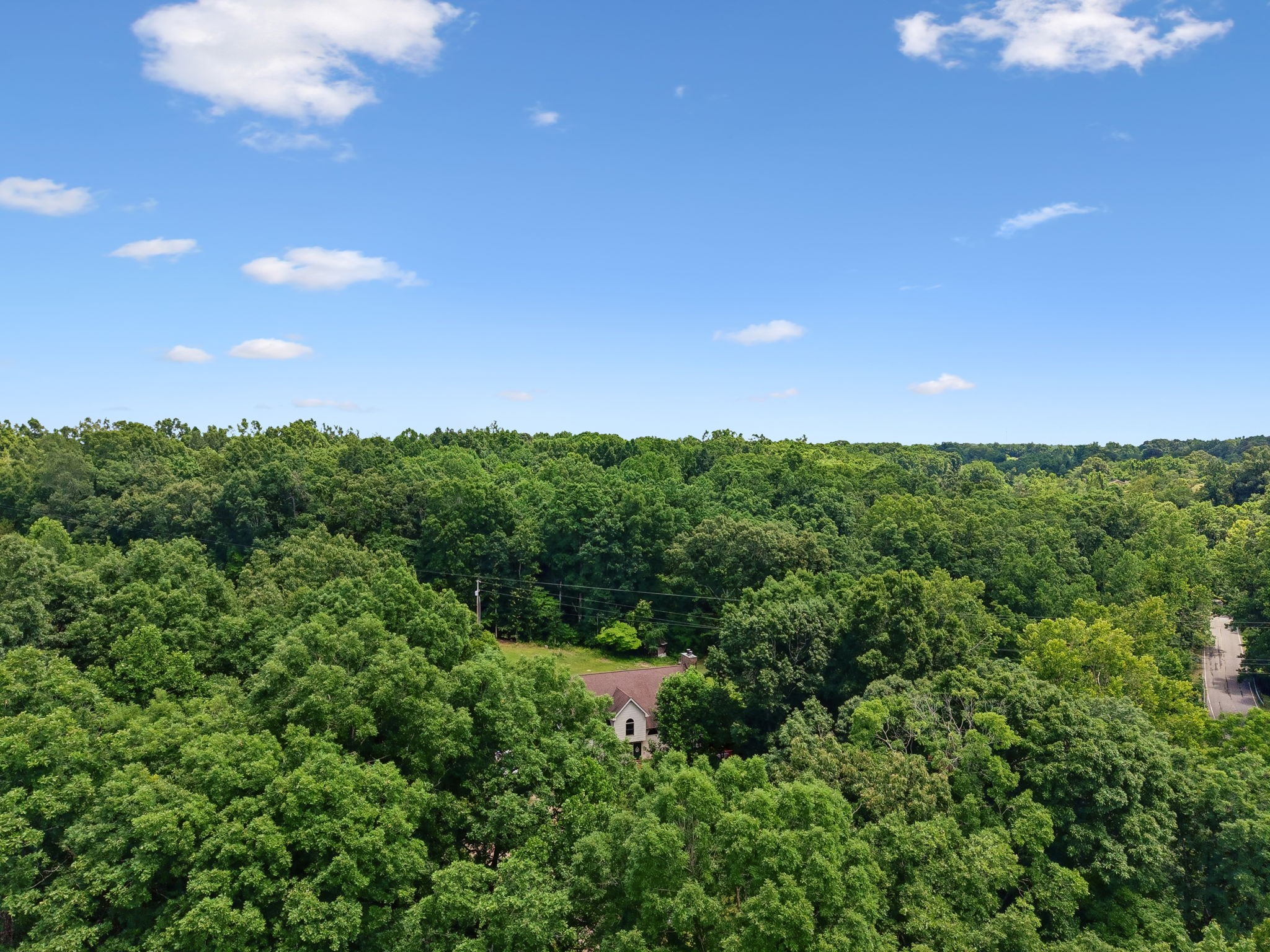 7368 Walker Road Fairview, TN 37062 - Photo 71 of 74